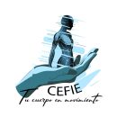Chartered Accountant